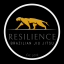 Resilience Romania BJJ