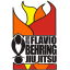 Flavio Behring Association