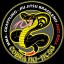 Cobra Jiu Jitsu México