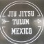 Jiujitsu tulum mexico