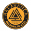 HALAVANCA BRAZILIAN JIU JITSU INTERNATIONAL