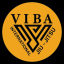 Viba Academy