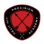 Precision Jiu Jitsu Academy