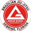 Gracie Barra Sebring