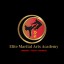 Elite martial arts academy