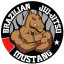 Mustang Jiu Jitsu