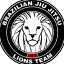 Lions Jiu Jitsu academy