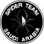 Spiderteamksa 