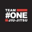 Team One Jiu-Jitsu