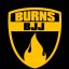 Burns Bjj Usa