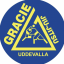 Gracie Barra Sweden