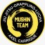 MUSHIN BJJ