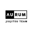 Aurum Team