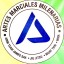 Artes Marciales Milenarias  - AMM Team
